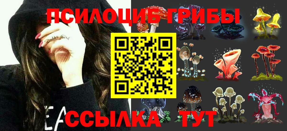 Псилоцибиновые грибы прущие грибы  Галлюциногенные грибы ЛСД  Карабулак  где можно купить   Вход с VPN 